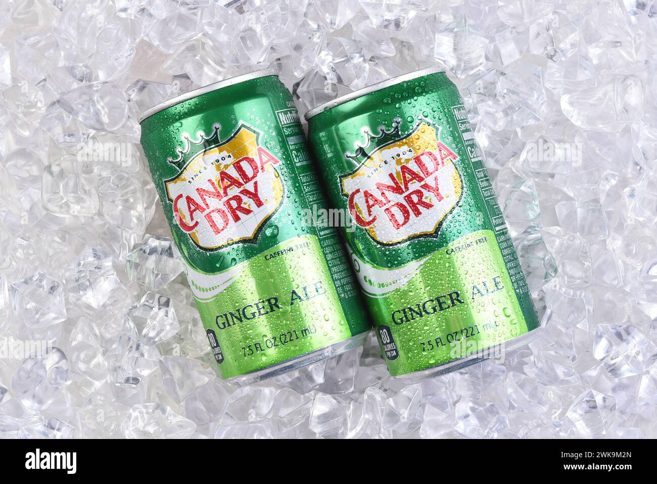 IRVINE, CALIFORNIA - 18 FEB 2024: Two cans of Canada Dry Ginger Ale mini cans on a bed of ice. Stock Photo