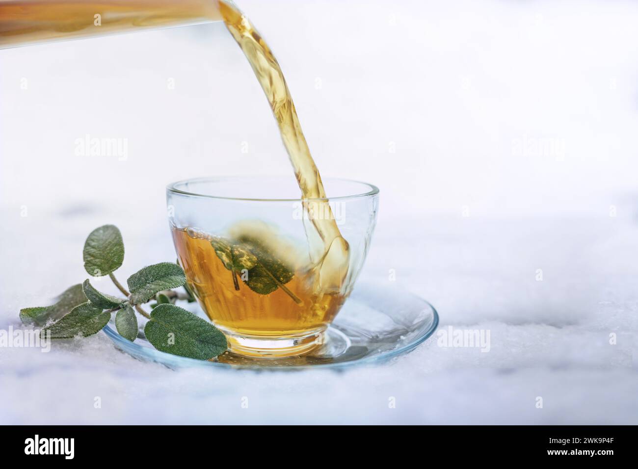 Hot sage tea is poured in a glass cup with some leaves standing outdoors in the white snow, herbal medicine and home remedy against flu and cold in th Stock Photo
