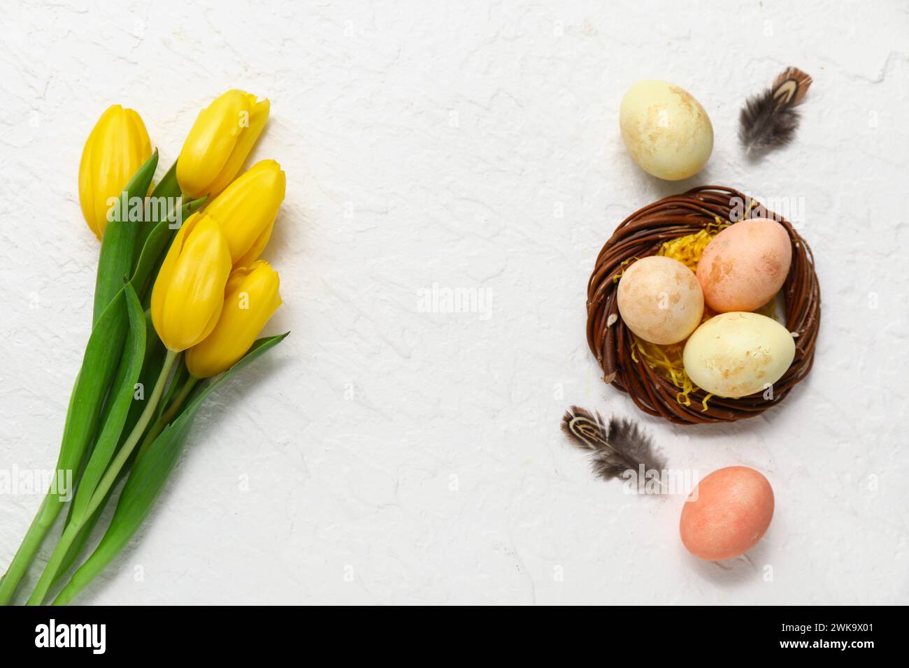 Nest with painted Easter eggs and tulip flowers on white background ...