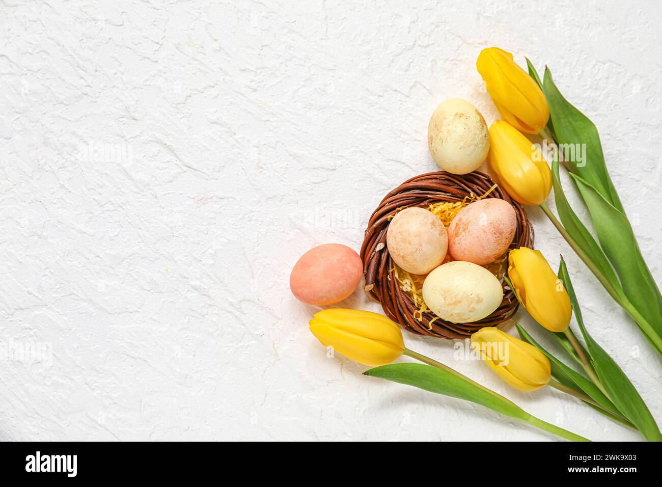 Nest with painted Easter eggs and tulip flowers on white background ...