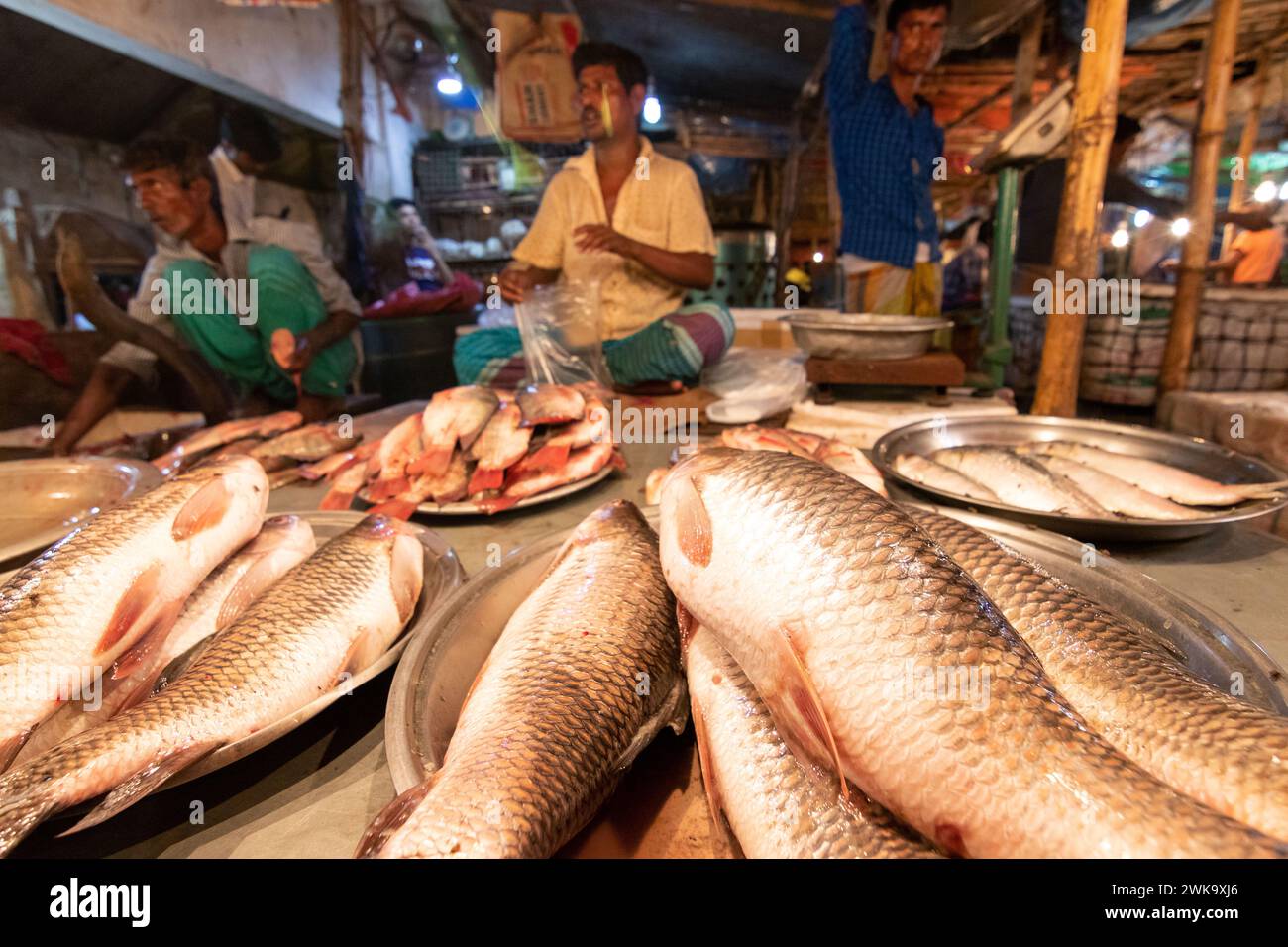 Fisheries industry in bangladesh hi-res stock photography and images ...