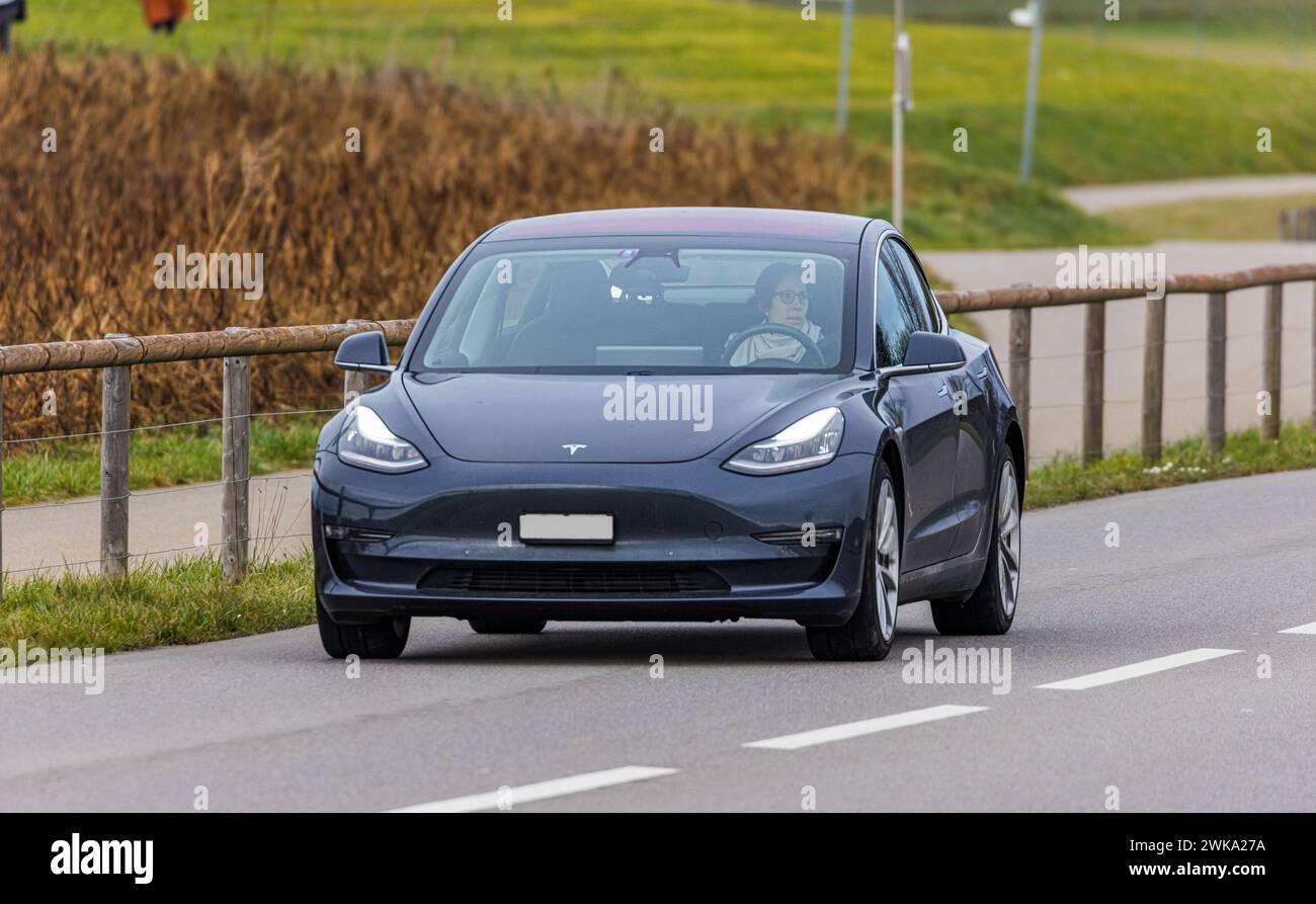 Ein Tesla Model 3 fährt auf einer Strasse ausserorts im