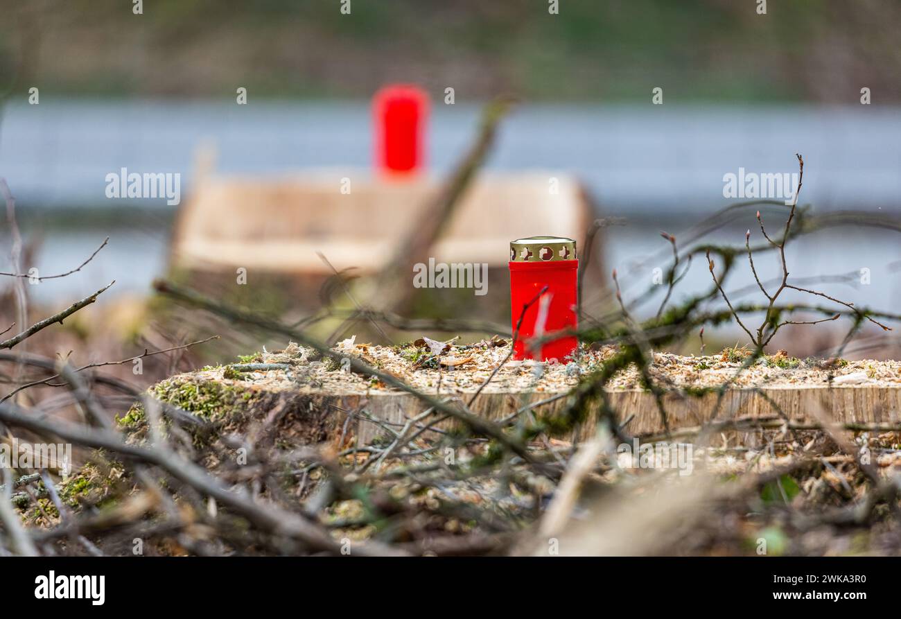 Umweltaktivisten haben nach der Waldrodung im Bülacher Hardwald Grabkerzen aufgestellt. Sie sollen an die gefällten Bäume erinnern. (Bülach, Schweiz, Stock Photo