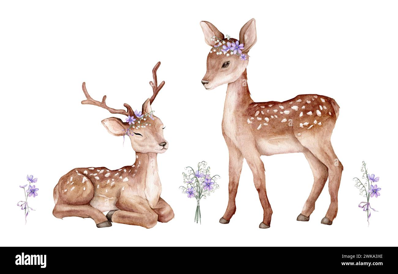 Watercolor set of deer and first spring flowers. Flowers violet coppice and lily of the violet valley green branches. Spotted deer isolated on white Stock Photo