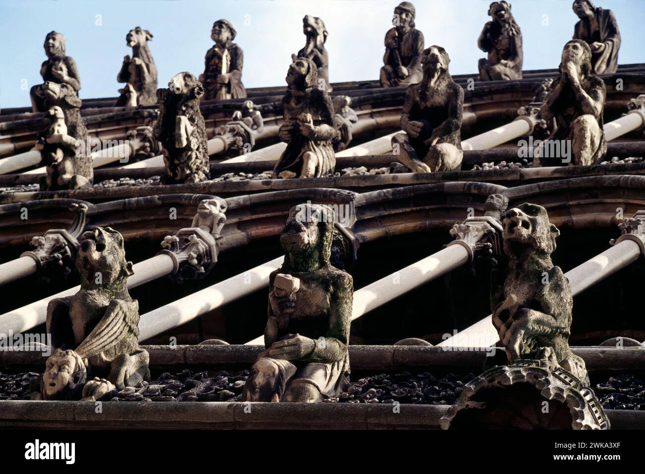 Gargoyles on the facade of Dijon Cathedral, Dijon, Côte-d'Or departement, Burgundy, France Stock Photo