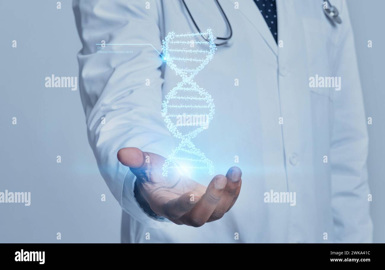 Medical doctor genetic holding DNA chain in his hand Stock Photo - Alamy
