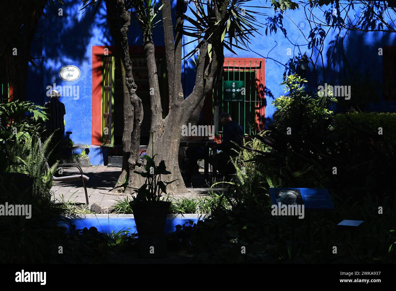 casa azul mexico frida kahlo