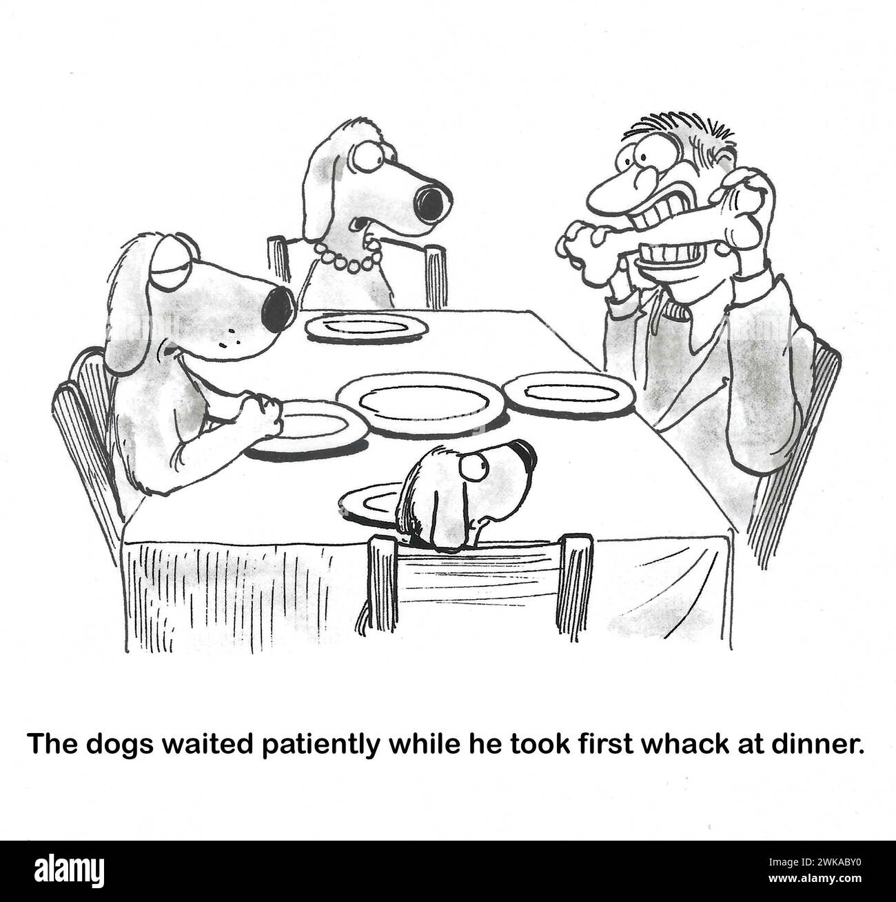 BW cartoon of three house dogs watching as the male owner takes the first bite of the dog's bone at the dinner table. Stock Photo