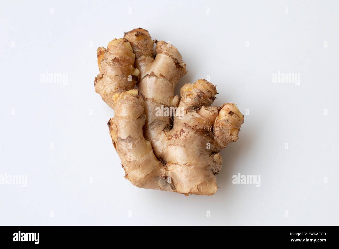 Ayurvedic root turmeric hi-res stock photography and images - Alamy