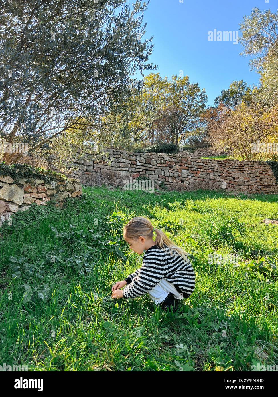 Little Girl Squats In A Clearing And Collects Something In The Grass little-girl-squats-in-a-clearing-and-collects-something-in-the-grass