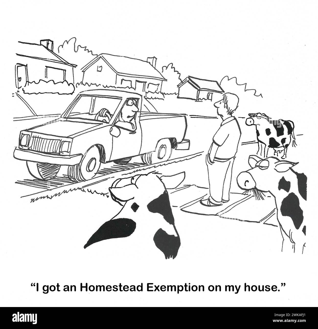 BW cartoon of a homeowner that has dairy cows in his yard.  Because of this his neighbor suggests he get a Homestead Exemption. Stock Photo