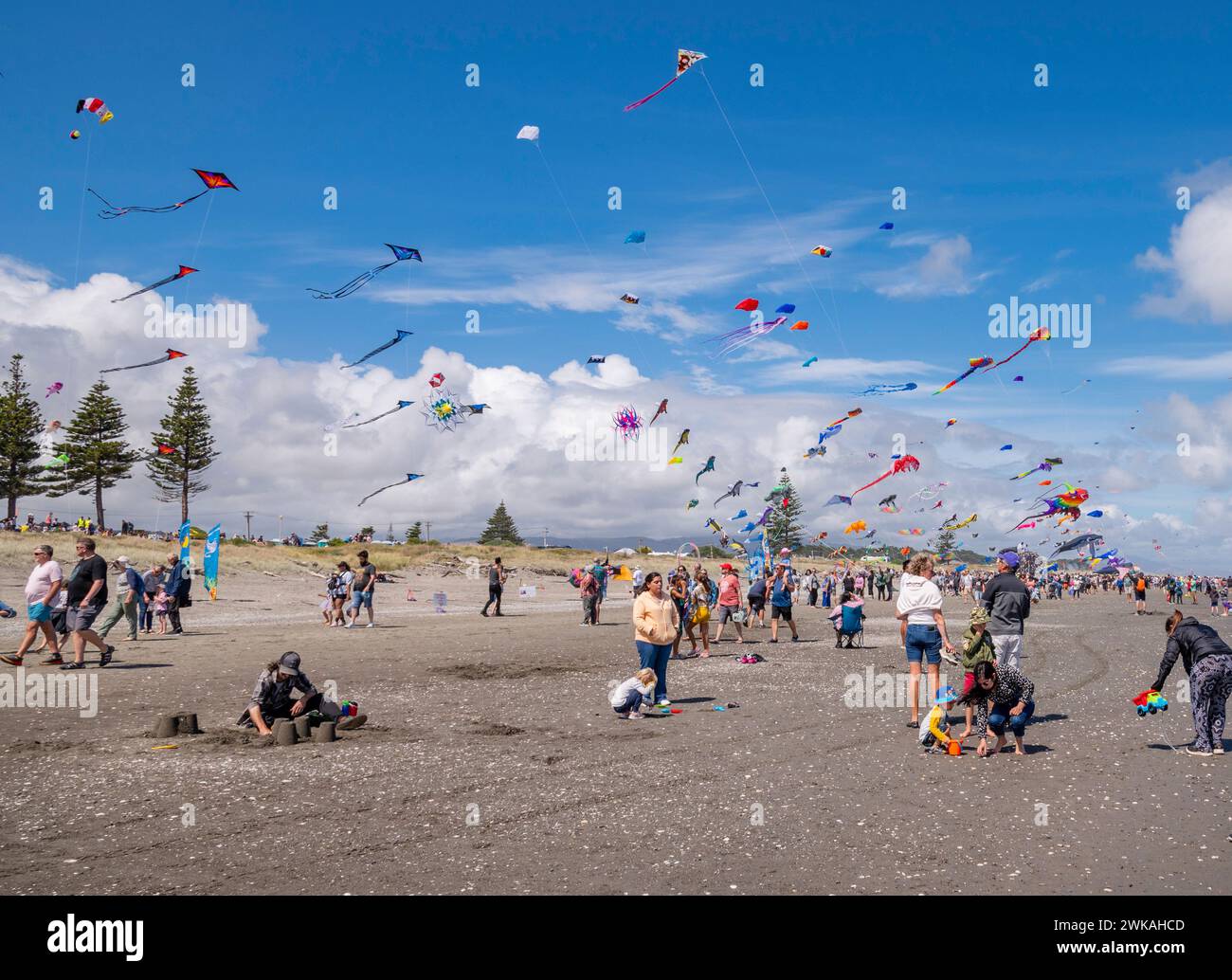 Otaki Beach Kite Festival 2024 with colourful kites flying in a breezy
