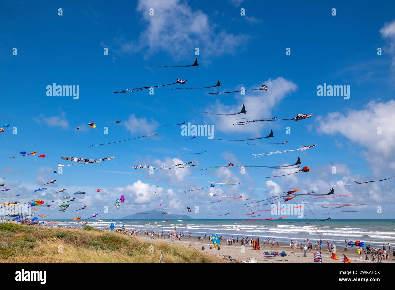 Otaki Beach Kite Festival 2024 with colourful kites flying in a breezy