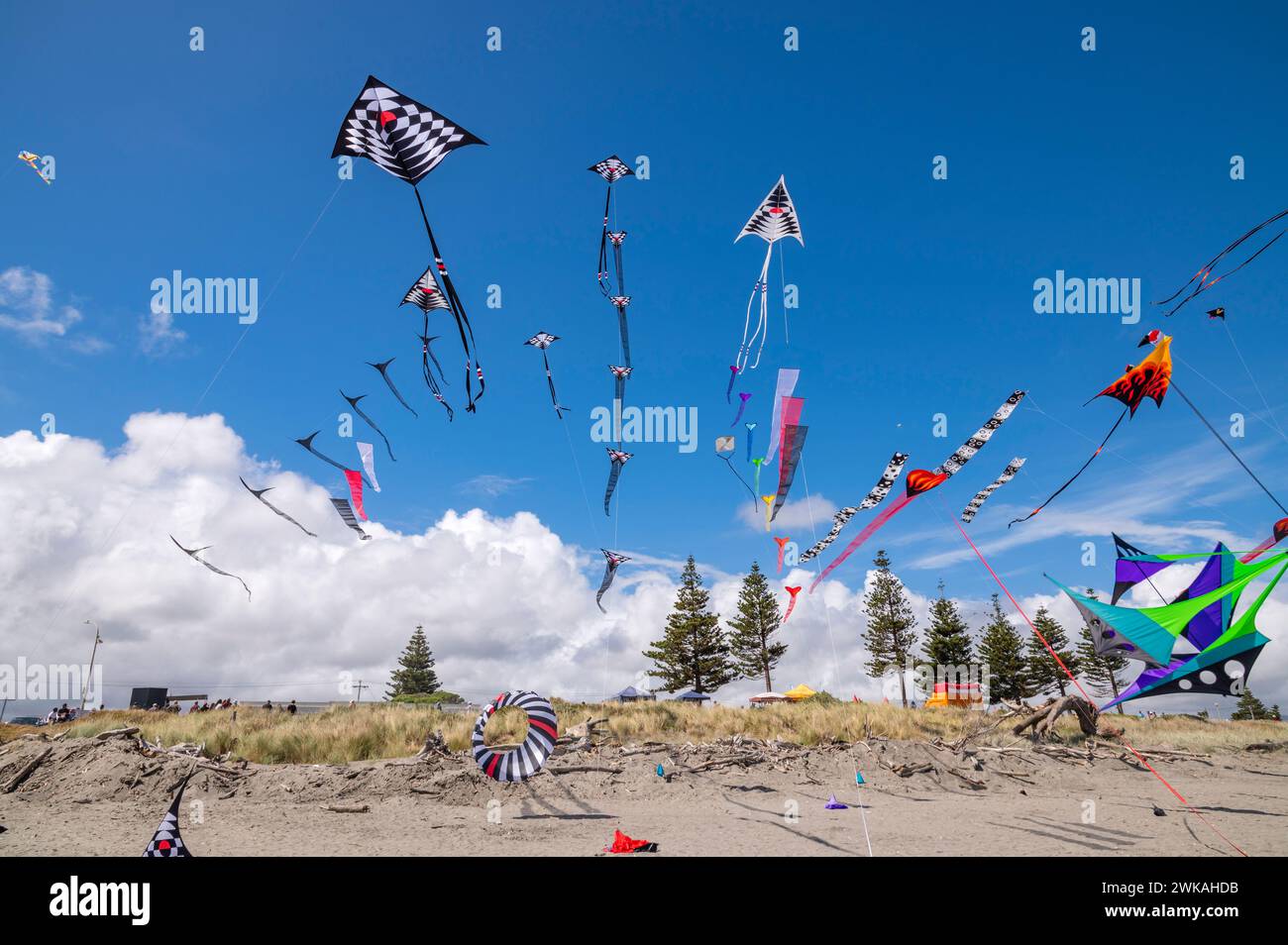 Otaki Beach Kite Festival 2024 with colourful kites flying in a breezy