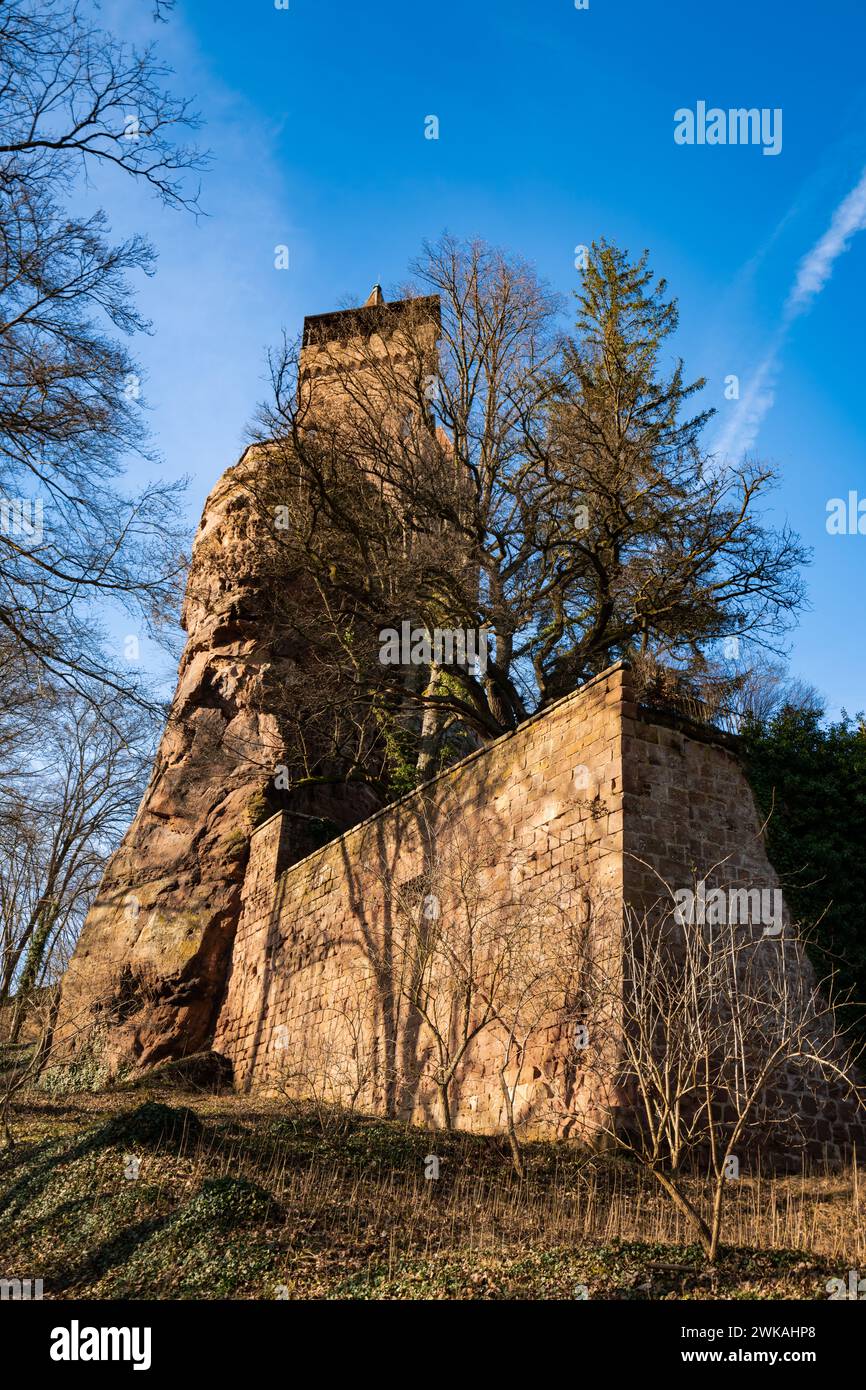 Berwartstein Castle (German: Burg Berwartstein) is a castle in the Wasgau, the southern part of the Palatinate Forest in the state Rhineland-Palatinat Stock Photo