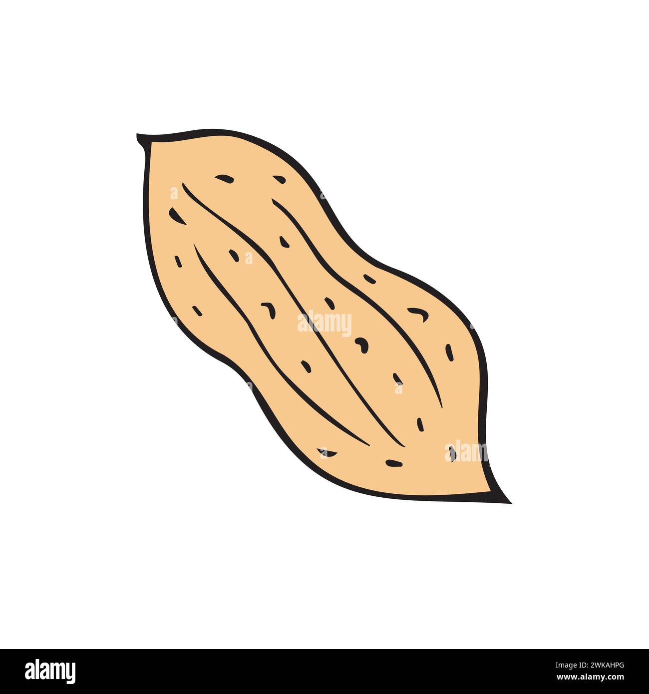 Vector hand drawn doodle sketch colored peanut nut isolated on white background Stock Vector