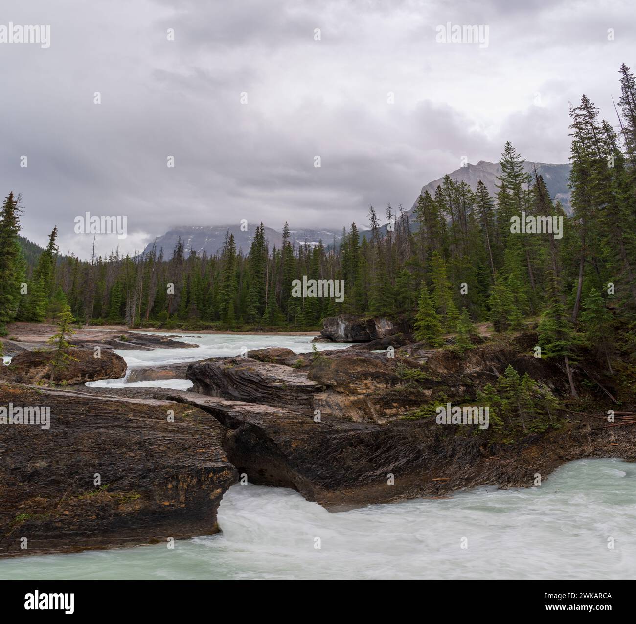 Bc yoho national park waterfall hi-res stock photography and images - Alamy