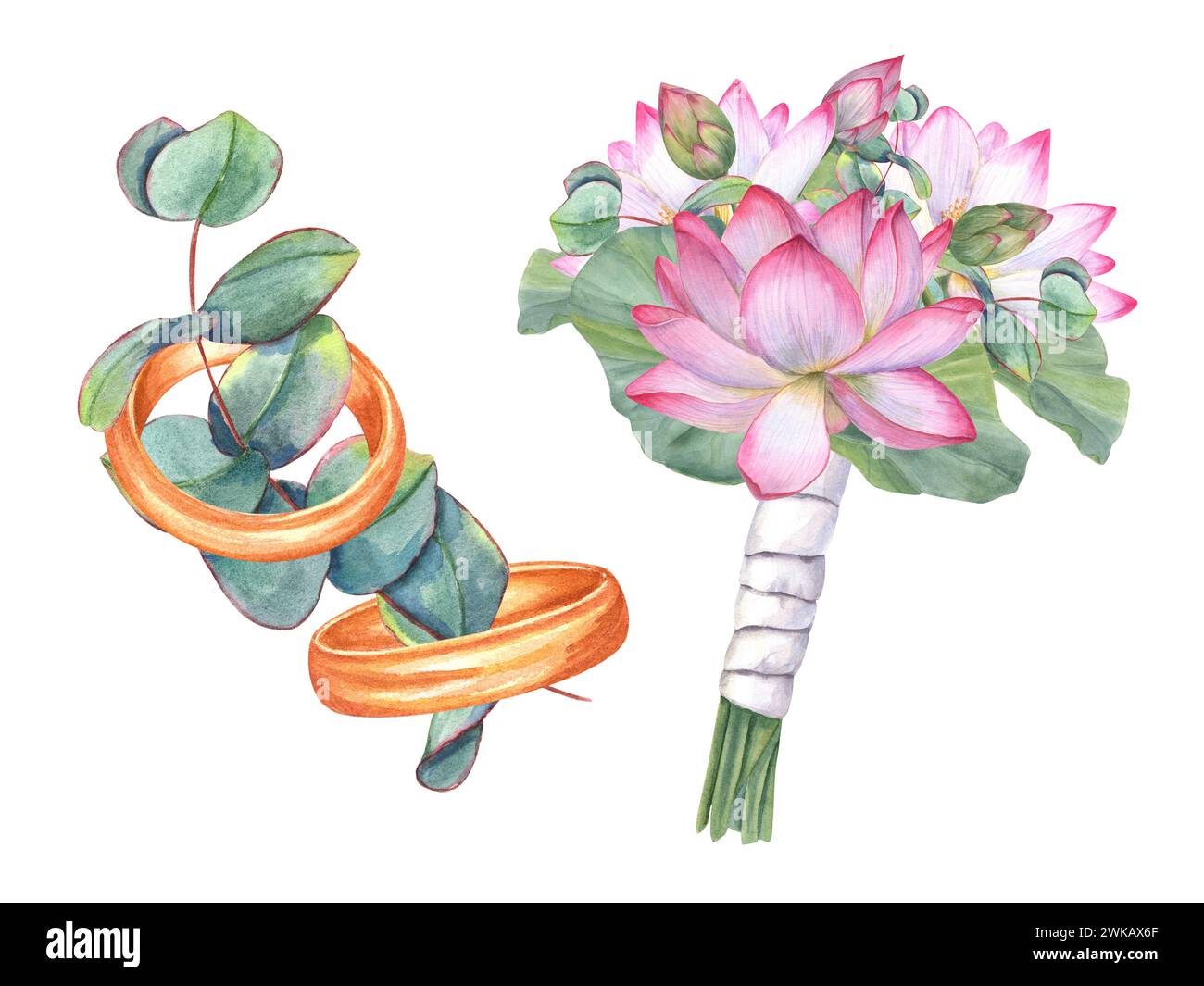 Wedding golden rings decorated eucalyptus. Engagement rings. Wedding bouquet with white pink lotuses and eucalyptus. Lovely boutonniere Stock Photo