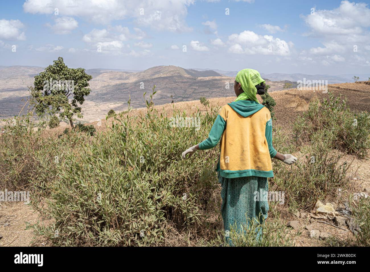Landscape in the ethiopian highlands, Ethiopia, Africa Stock Photo