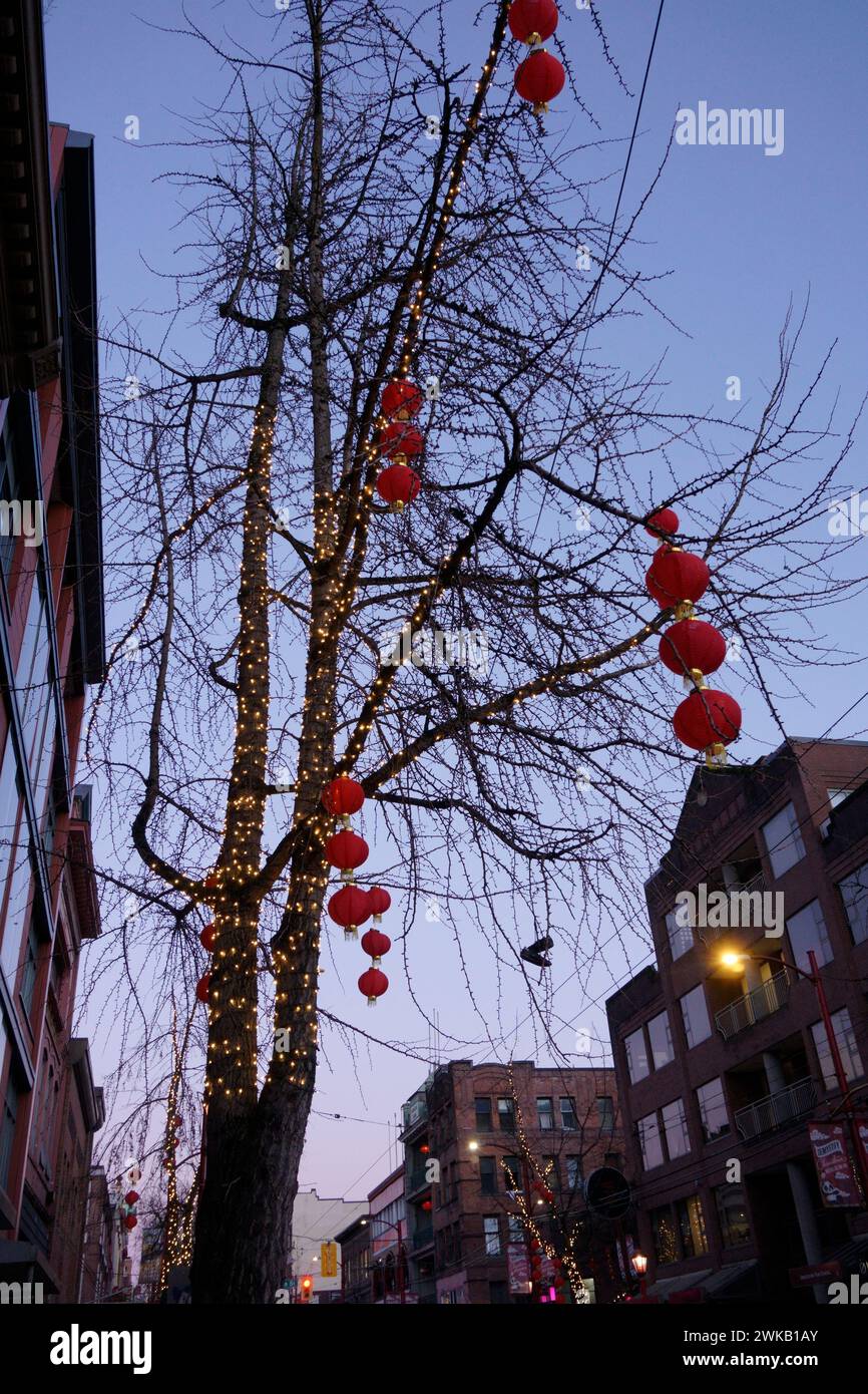 Chinese New Year lanterns decorations hanging form the branches of a tree in Chinatown, Pender Street, Vancouver, BC, Canada Stock Photo