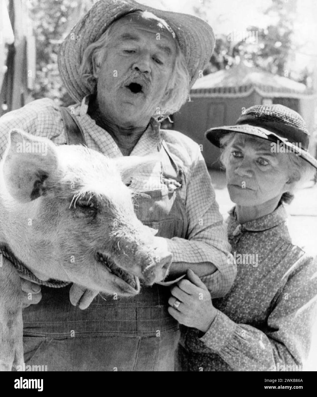 THE WALTONS  CBS TV series  1972-1981 with Grandpa and Grandma Walton played by Will Geer and Ellen Corby Stock Photo