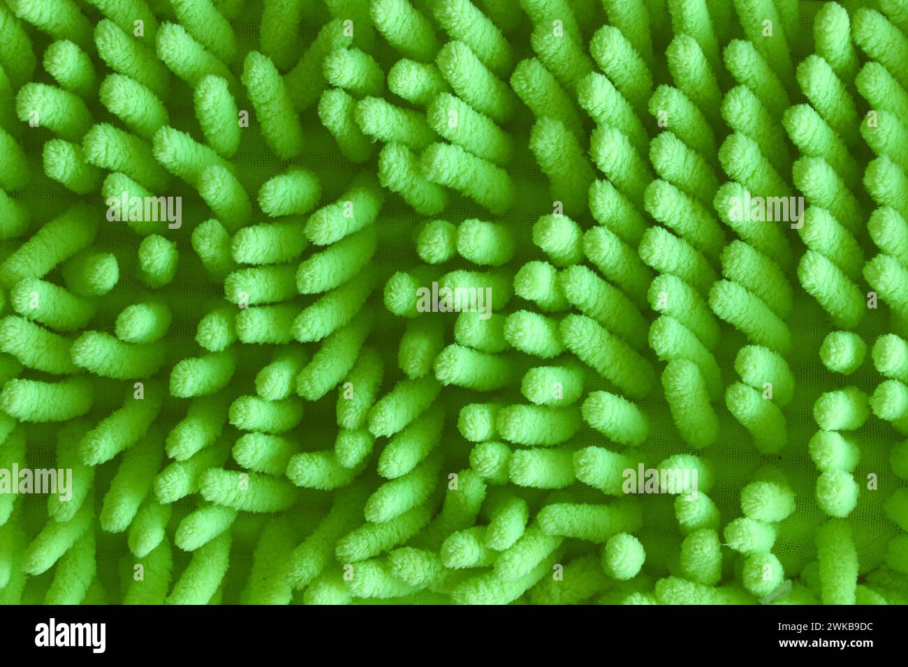 Abstract green background. Green abstract texture like coral. Stock Photo