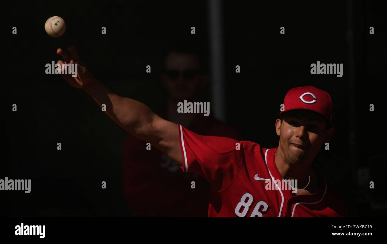 Cincinnati Reds pitcher Christian Roa throws a pitch during spring ...