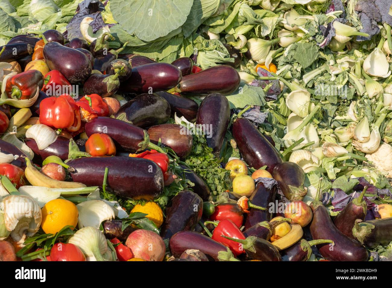 Heap of Mix expired Vegetables and fruits at harvest time. Organic bio waste in a huge container