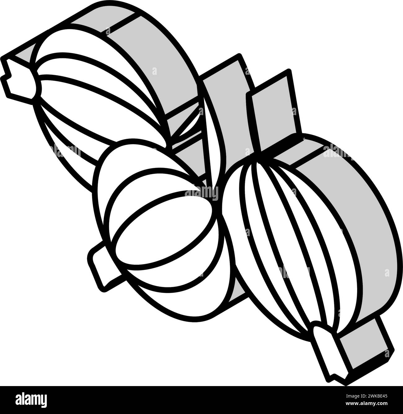 gooseberry juicy berry isometric icon vector illustration Stock Vector