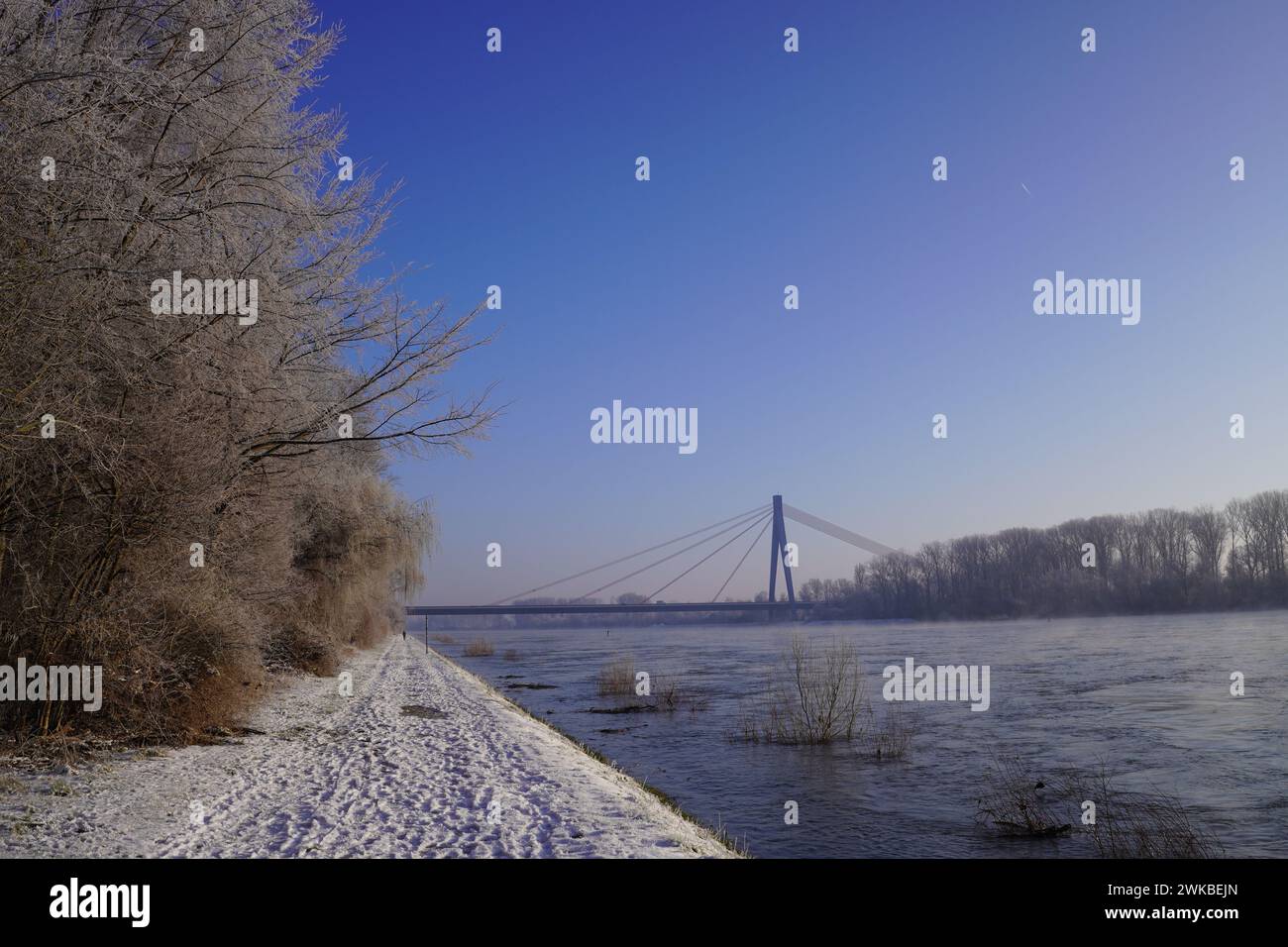 Rhine river in the winter in Speyer, Germany Stock Photo