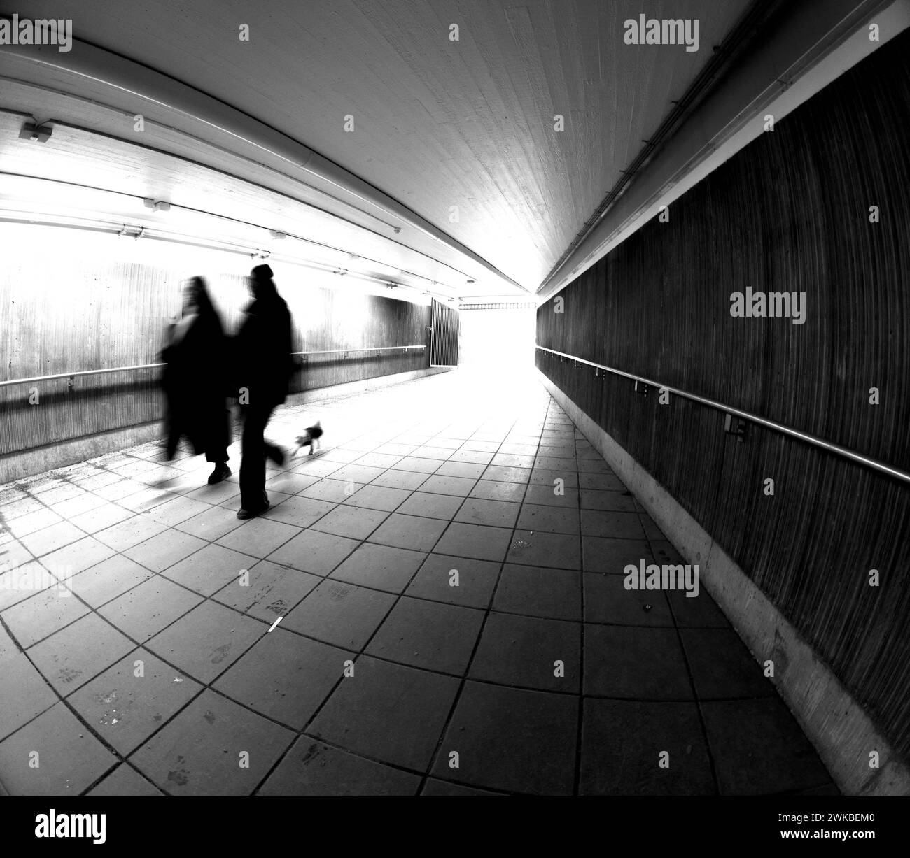 Couple with dog in motion blur in a tunnel Stock Photo