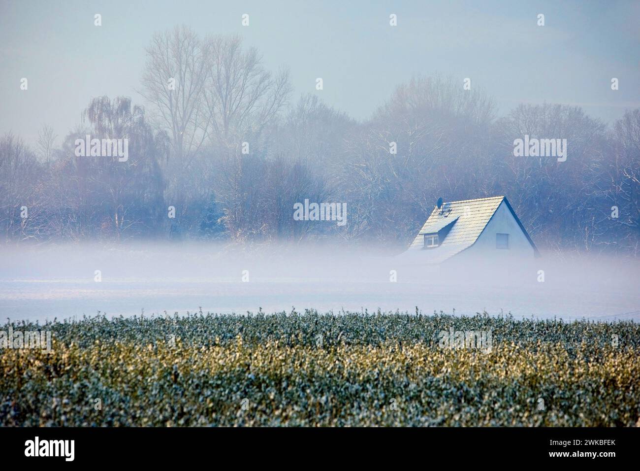 the roof of a house rises out of the fog above a field in winter, Germany, North Rhine-Westphalia, Ruhr Area, Witten Stock Photo