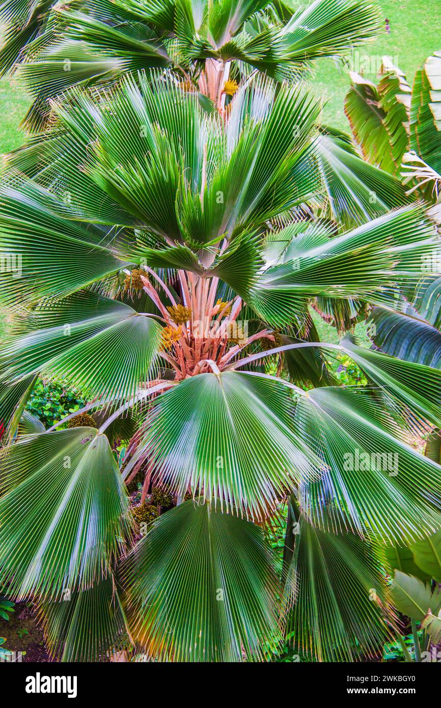 Third largest island in hawaii hires stock photography and images Alamy