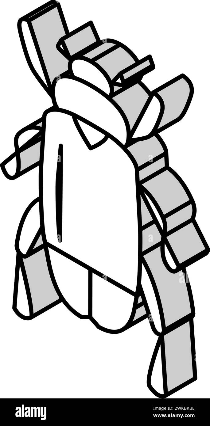 chafer insect isometric icon vector illustration Stock Vector Image ...