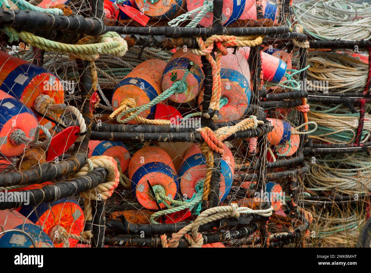Crab pots at Garibaldi Marina, Garibaldi, Oregon Stock Photo Alamy