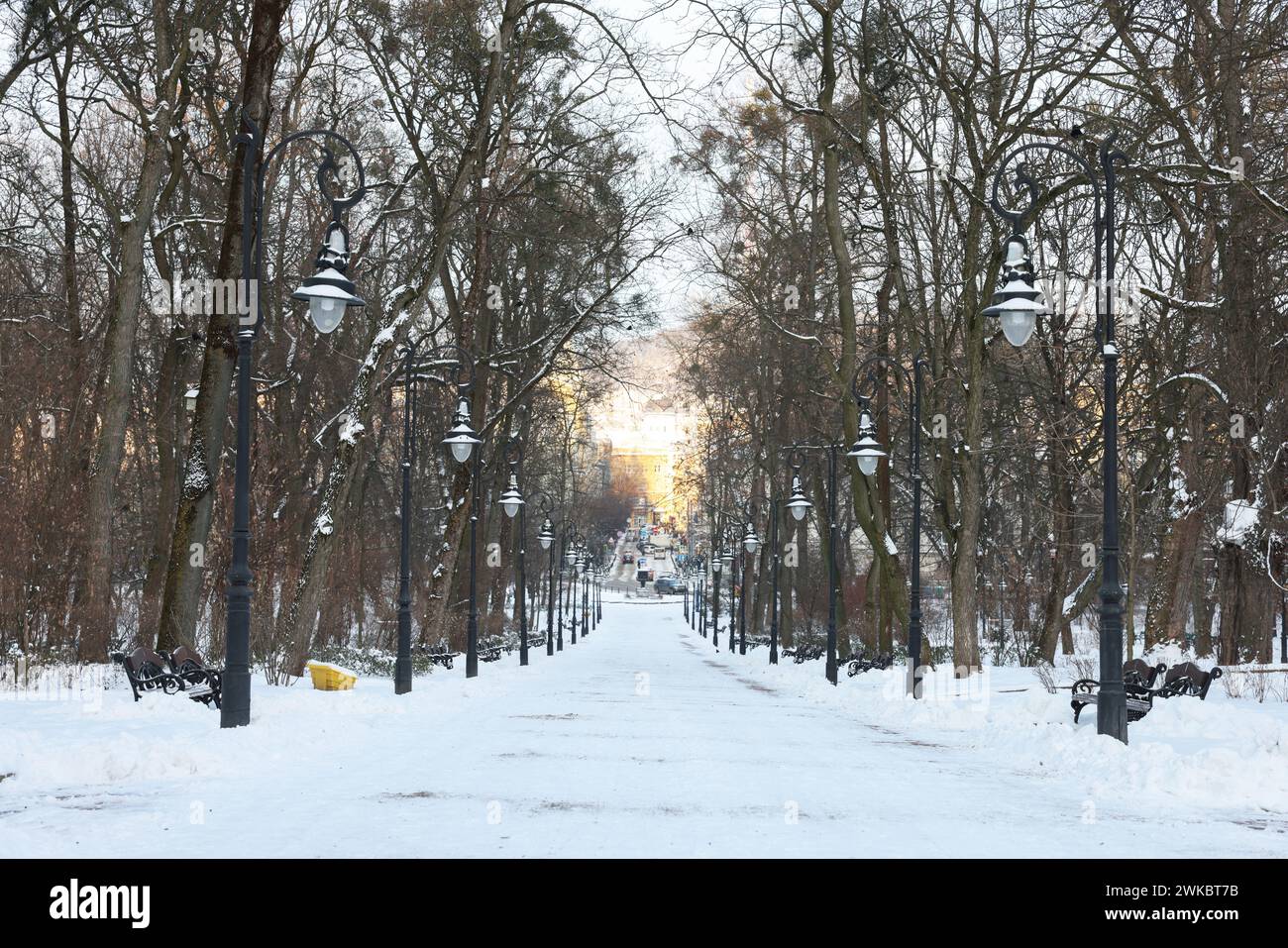 Trees, street lamps and pathway covered with snow in winter park Stock ...