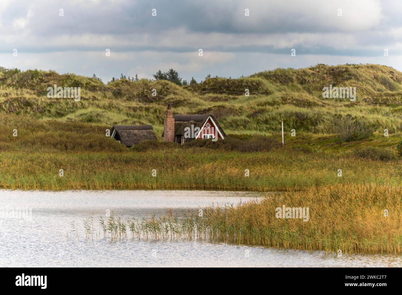 Swedish house behind reed belt at Nyminde Strom in front of dune landscape, Norre fog, Region Syddanmark, Denmark Stock Photo