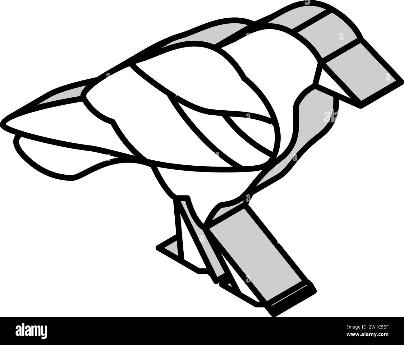 crow bird isometric icon vector illustration Stock Vector Image & Art
