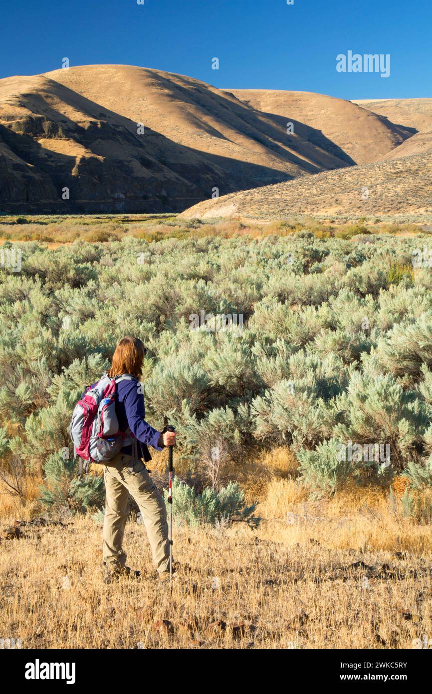 Sagebrush flat along Lost Corral Trail, John Day Wild and Scenic River