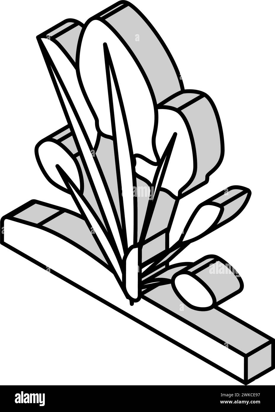 plant spinach growing isometric icon vector illustration Stock Vector ...