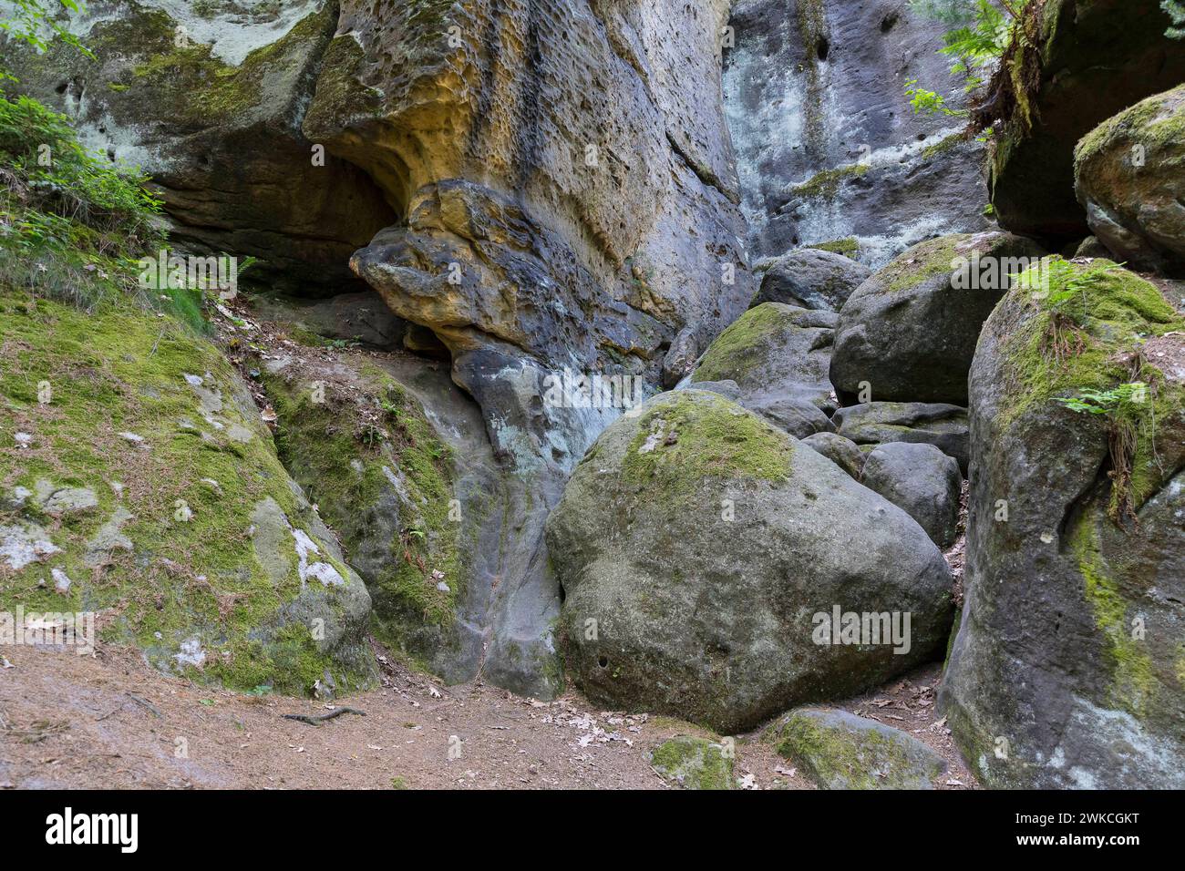 Felslandschaft am Diebskeller oder Götzinger Höhle am Kleinen Bärenstein, Thürmsdorf, Struppen, Sächsische Schweiz, Sachsen, Deutschland *** Rocky lan Stock Photo