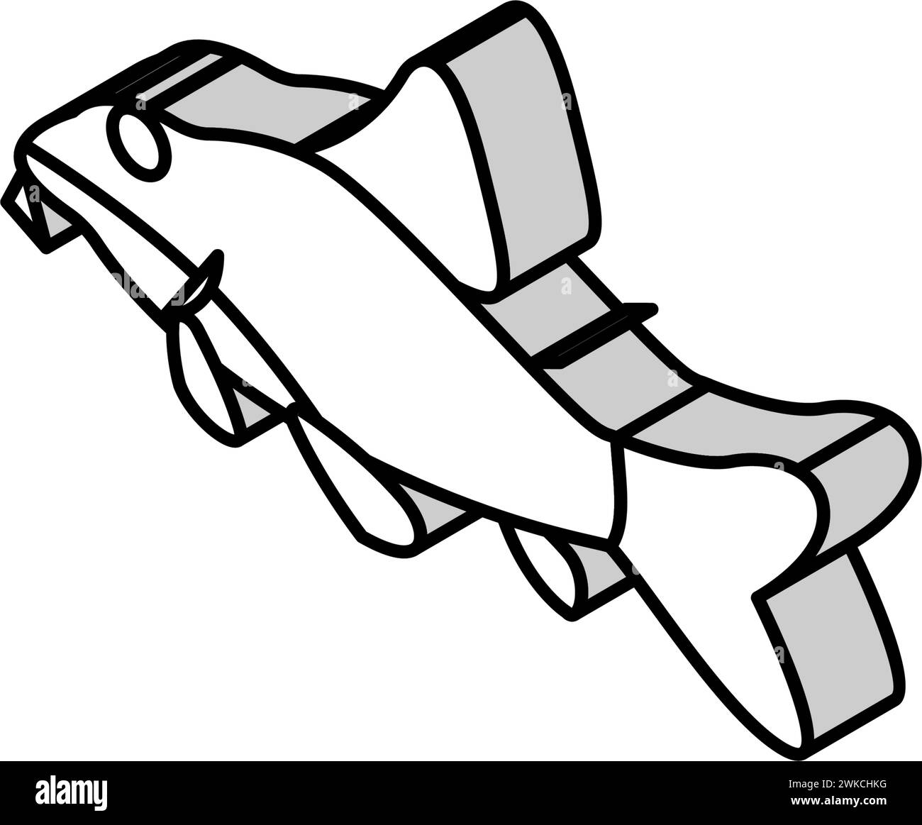 cory catfish isometric icon vector illustration Stock Vector