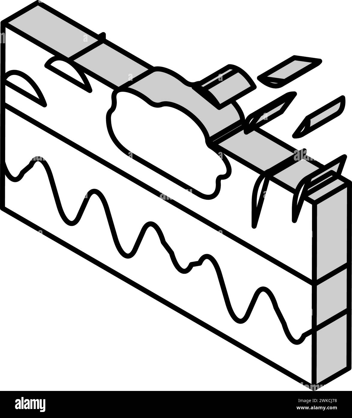 skin hair problem isometric icon vector illustration Stock Vector Image