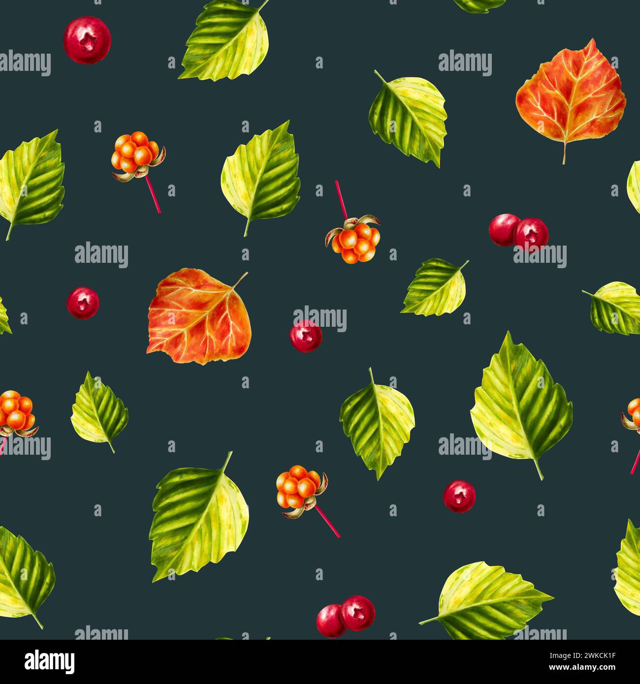 Watercolor seamless pattern with forest berries lingonberry, cranberry and cowberry, cloudberry illlustration. Juicy red berries and green leaf isolat Stock Photo