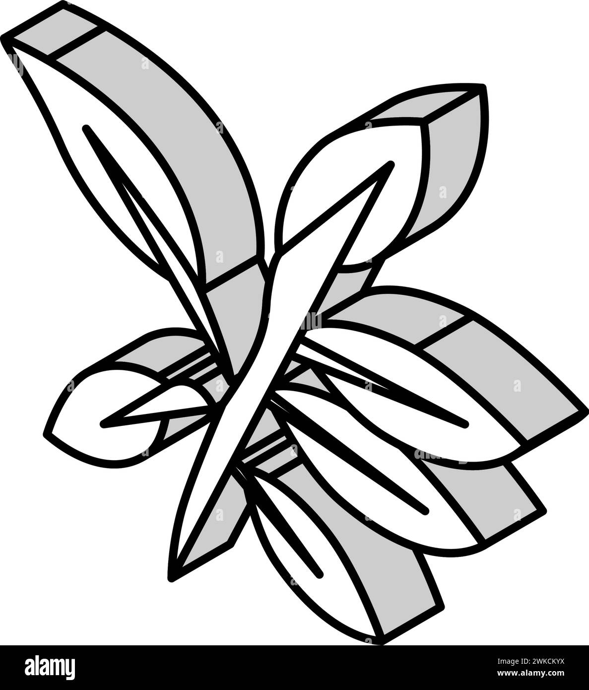 ebony leaf isometric icon vector illustration Stock Vector