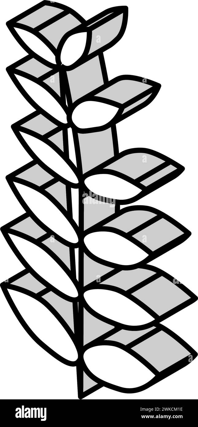 walnut leaf isometric icon vector illustration Stock Vector