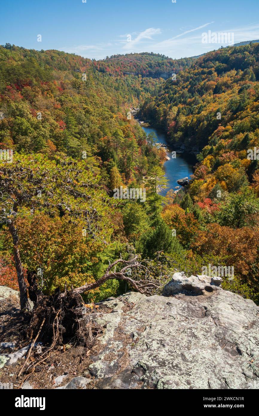 The Obed Wild & Scenic River in the Cumberland Plateau in Tennessee Stock Photo