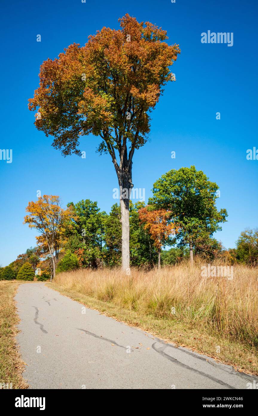 Melvern Rivers Rutherford Ii Battlefield memorialization hi-res stock photography and images - Alamy