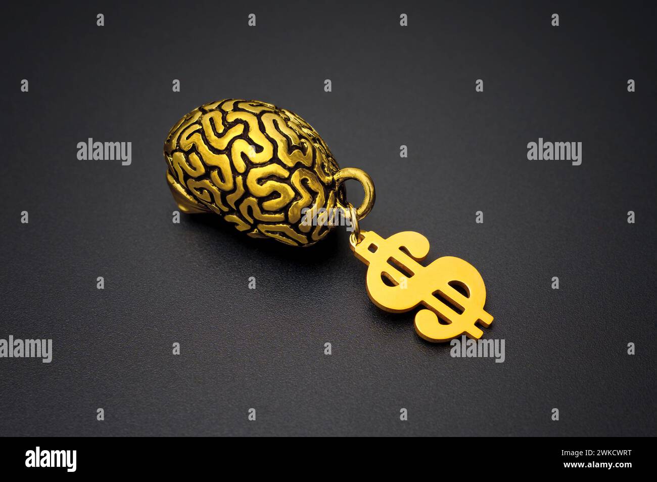 Gold-plated brain adorned with a shimmering dollar sign, set against a sleek black background. Wisdom and wealth related concept. Stock Photo