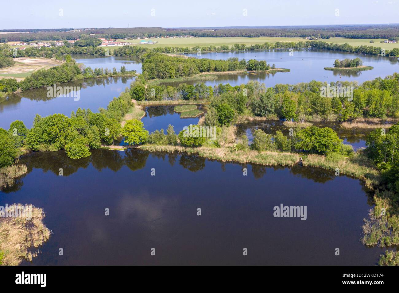 Luftbild der Döbraer Teiche mit Döbraer Neuteich, Kleiner und Großer